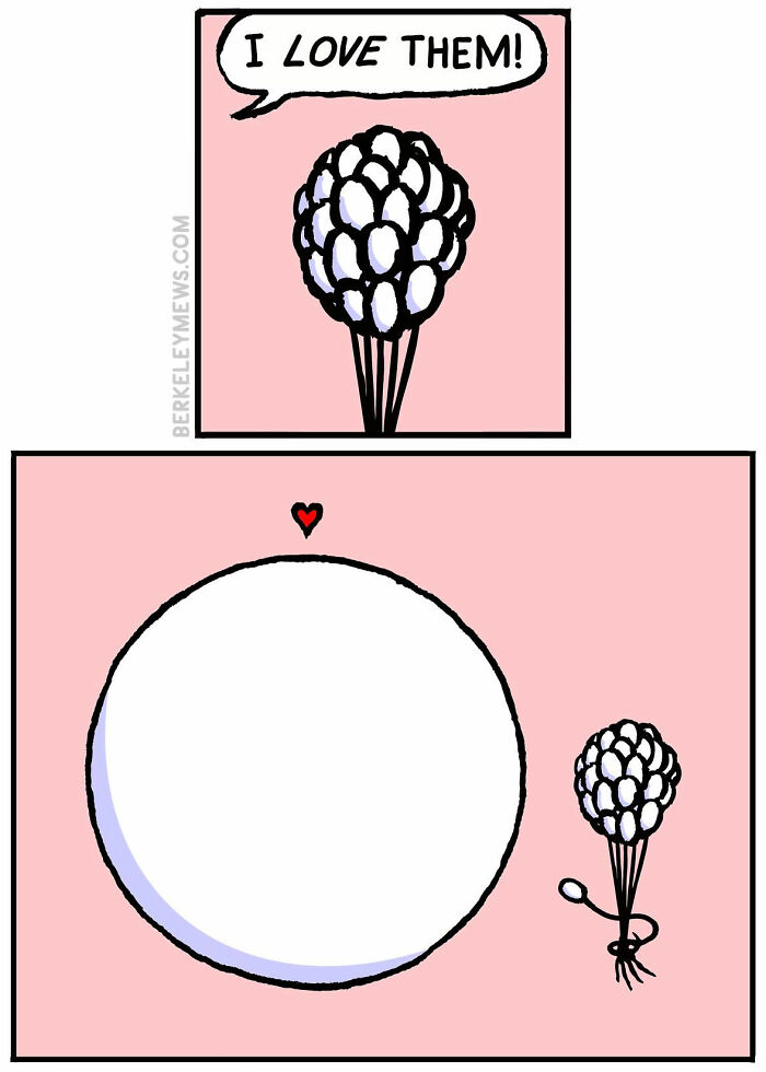 Cartoon showing darkly funny comics by Ben Zaehringer with a small bouquet and a large white circle.