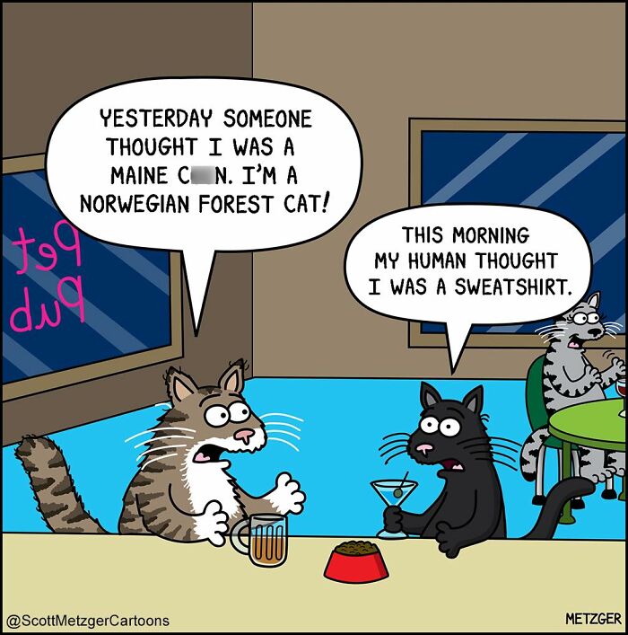 Two cats in a comic at a pet pub humorously discussing sharing a home with cats and dogs.