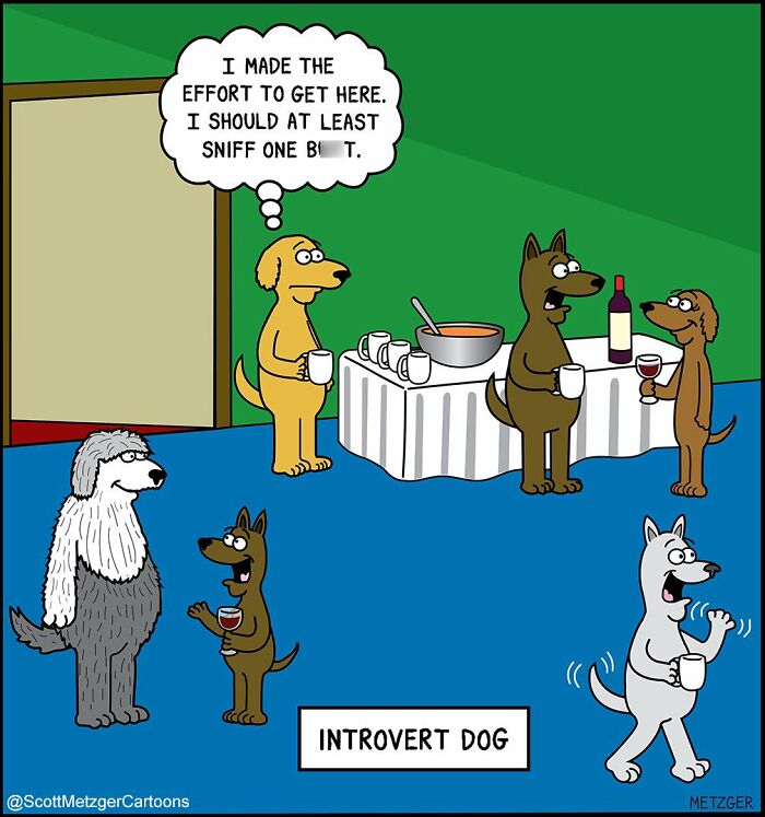 Cartoon depicting introvert dogs at a social gathering, highlighting humor in sharing a home with cats and dogs.
