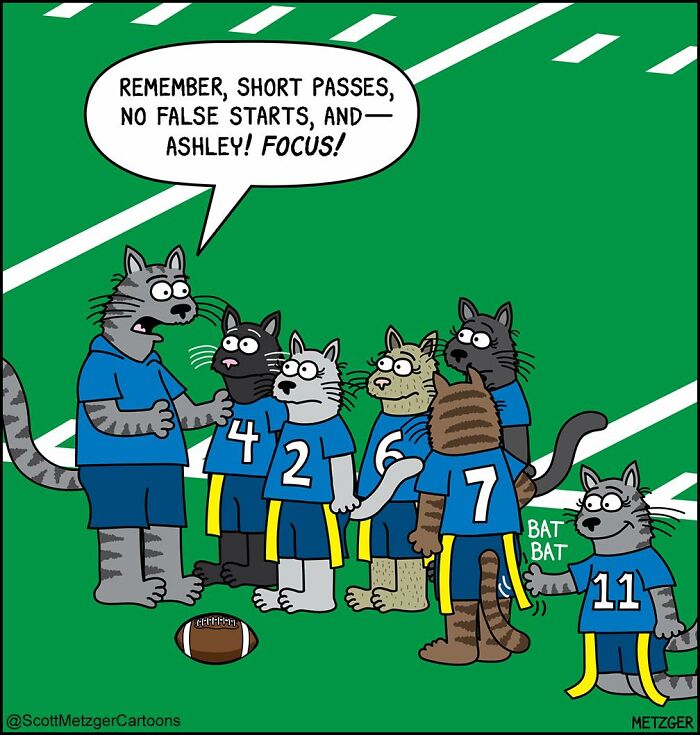 Cartoon cats in sports gear on a field, humorously depicting life sharing a home with cats and dogs.