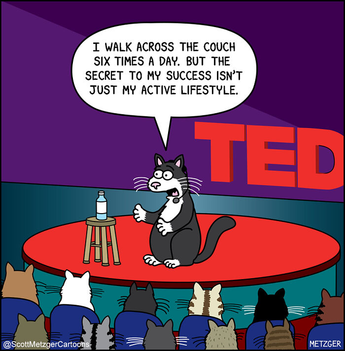 Cartoon cat giving a humorous talk on stage, capturing the funny side of sharing a home with cats and dogs.