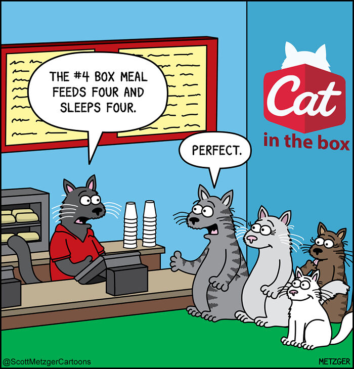 Cartoon cats at a counter discussing box meals, illustrating life sharing a home with cats and dogs humorously.