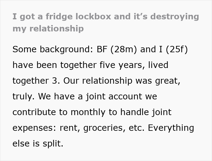 GF Buy's Fridge Lockbox To Protect Snacks From Greedy BF, He Escalates To Violence Immediately