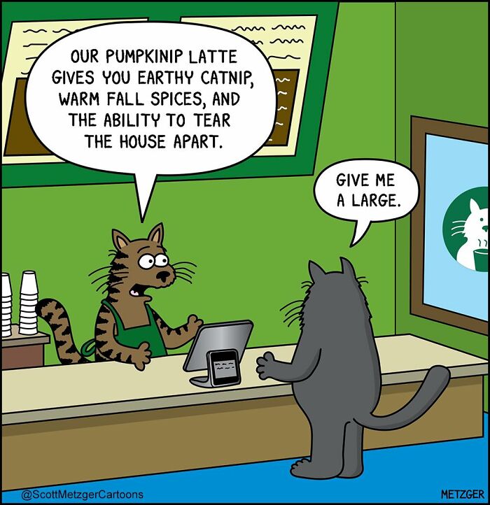 Comic showing cats sharing a home, featuring a cat barista and a customer ordering a pumpkinip latte with catnip.