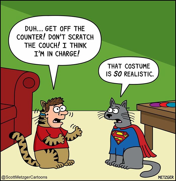 Comic showing a person dressed as a cat and a dog wearing a Superman costume, highlighting life with cats and dogs.