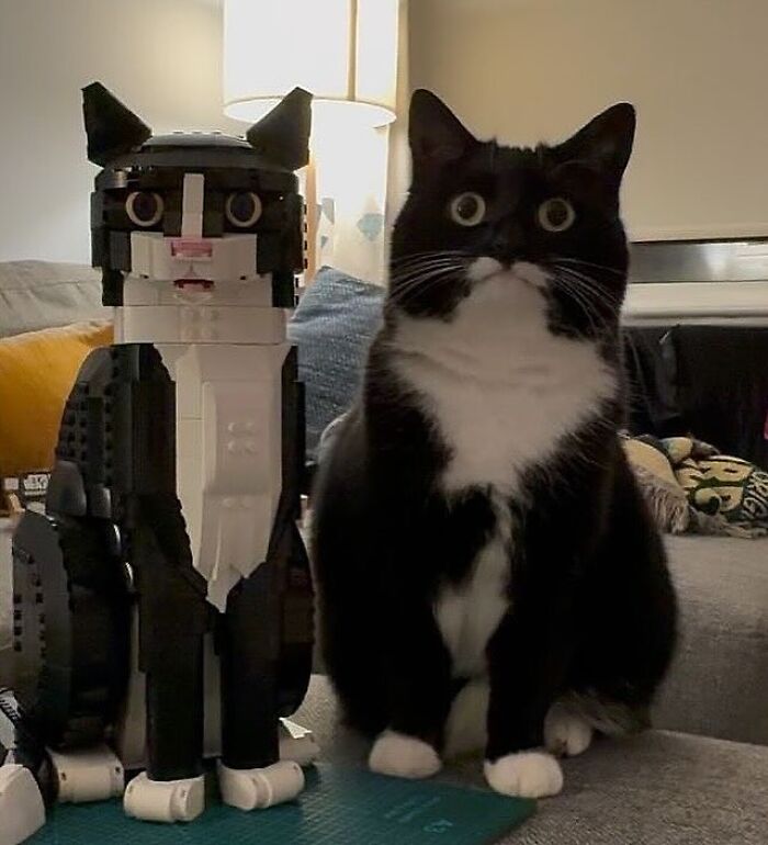 Black and white cat sitting next to a Lego cat model with wide eyes in a living room, a weirdly hilarious image for your feed.