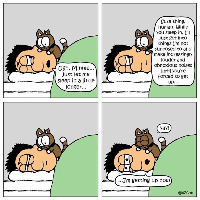 This Artist Turns The Chaos Of Living With A Cat Into Hilariously Relatable Comics (30 Comics)