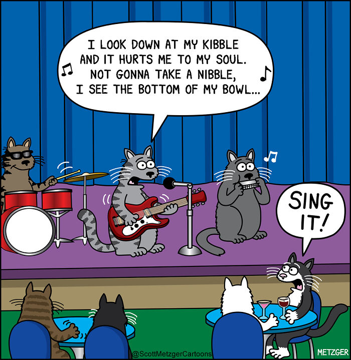 Cats and dogs performing in a comic strip humorously capturing life sharing a home with pets.