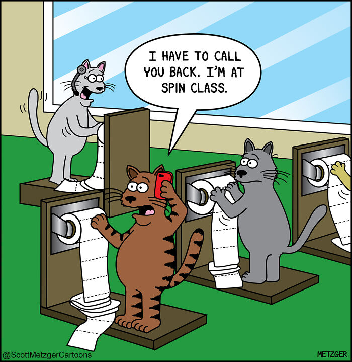 Cartoon cats using toilet paper rolls in a spin class, humorously illustrating life sharing a home with cats and dogs.