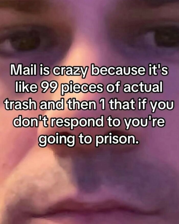 Close-up of a face with text about mail being mostly trash except one that could lead to prison in hilarious memes with cynicism.