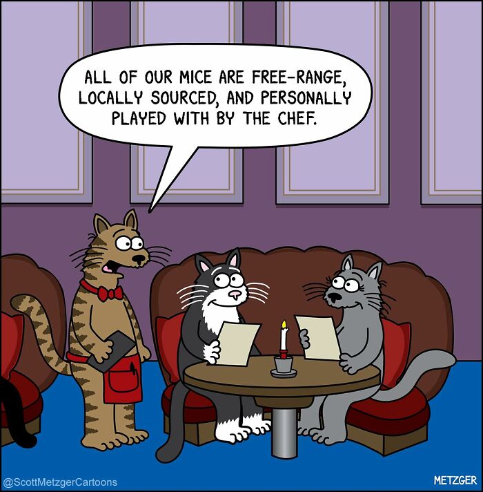 Cartoon cats dining with a cat waiter, humorously discussing free-range mice in a comic about sharing a home with cats and dogs.