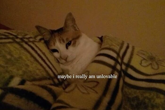 Cat meme showing a sad cat wrapped in a blanket with text expressing feeling unlovable, from cutecats.exe.