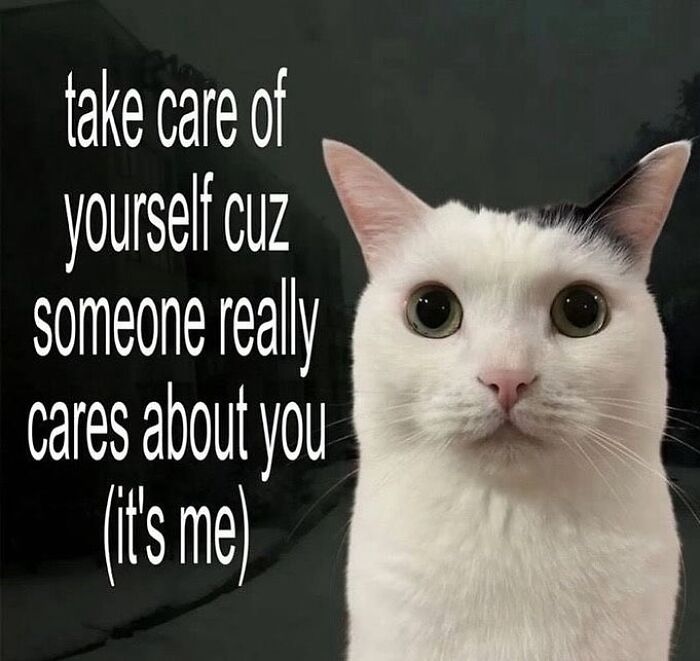 White cat with big eyes next to text encouraging self-care in a popular cat memes style for Cutecats.exe.