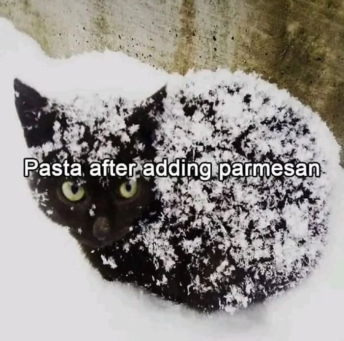 Black cat covered in snow with caption pasta after adding parmesan, a funny cat meme from Cutecats.exe collection.