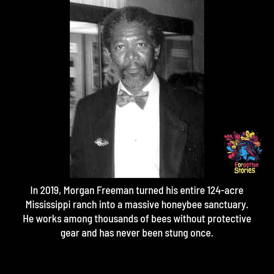 Black and white photo of a man in a tuxedo with bow tie, highlighting forgotten stories about honeybee sanctuaries.