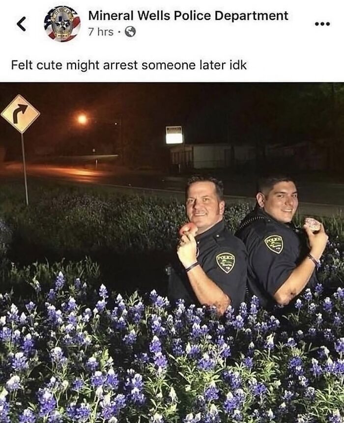 Two police officers standing back-to-back in a field of flowers holding donuts, a weirdly hilarious image to improve your mood.