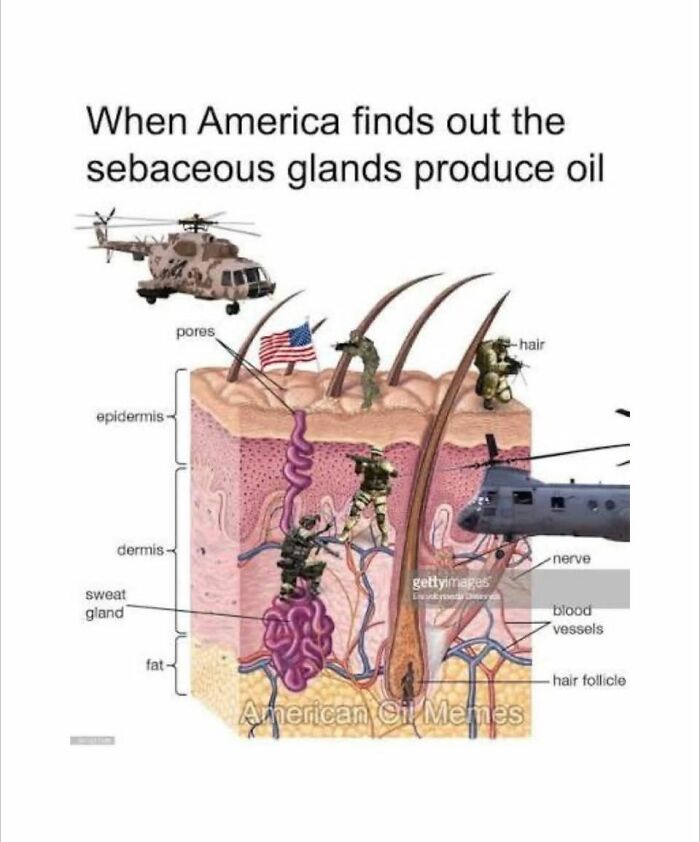 Diagram of skin layers humorously depicting soldiers and helicopters invading sebaceous glands with the American flag, highlighting oil production meme.