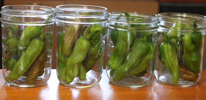 Four clear jars filled with green peppers on a wooden surface, illustrating the most unhinged toxic ways women traumatized men.