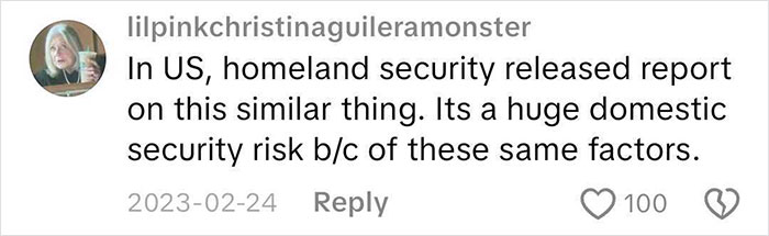 Screenshot of a social media comment discussing US homeland security report on domestic security risks related to incel forums.