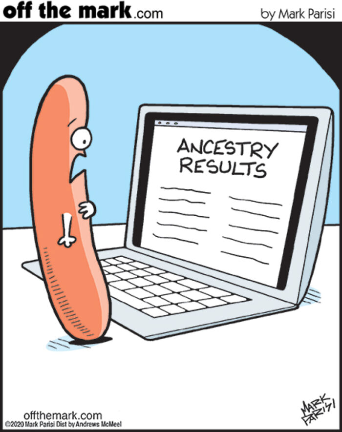 Cartoon of a surprised sausage looking at ancestry results on a laptop in a comic about technology and internet life.