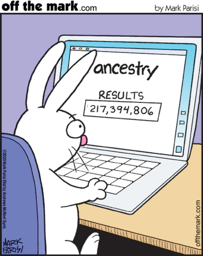 Cartoon rabbit using a laptop showing ancestry results on screen, illustrating technology and internet life humor.