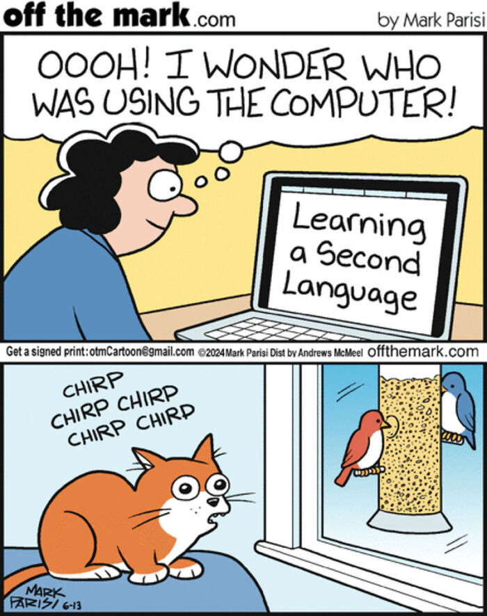 Comic by Mark Parisi showing humorous internet life with a cat watching birds and learning a second language on computer.