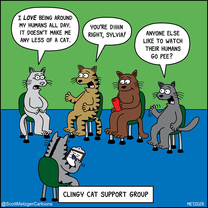 Comic of cats in a clingy cat support group humorously depicting life sharing a home with cats and dogs.
