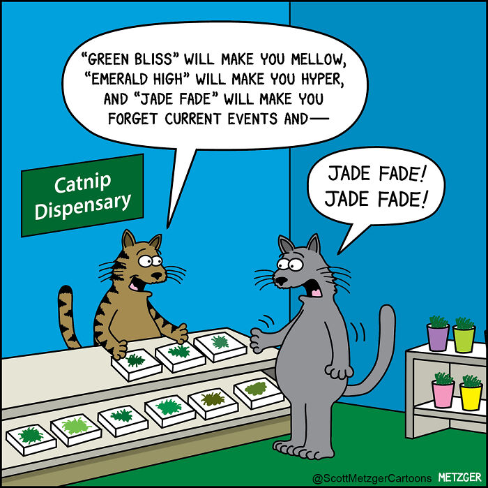 Comic of two cats at a catnip dispensary, humorously showing life sharing a home with cats and dogs.