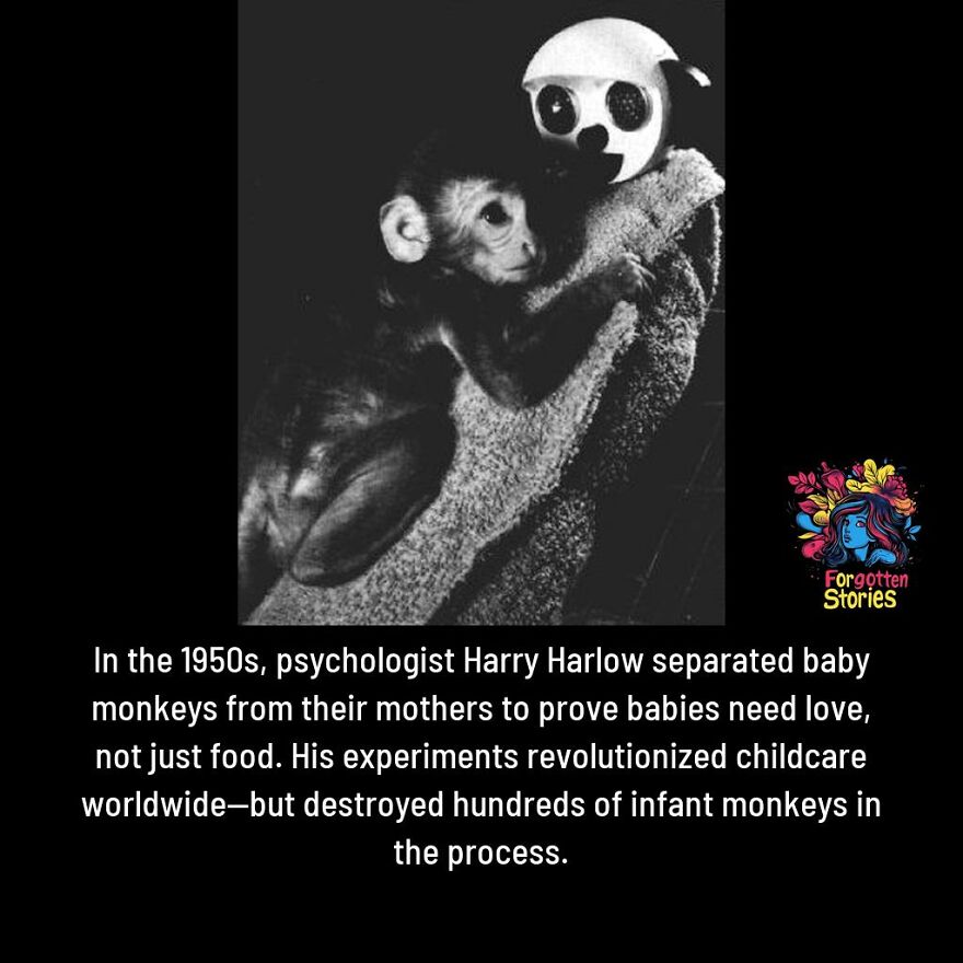 Baby monkey clinging to a wire mother in a forgotten stories Facebook page post about psychological experiments.