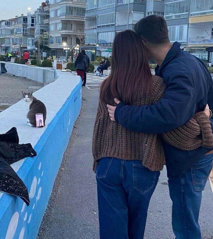 Couple hugging near a cat sitting on a blue wall with a phone taking a photo, showing humans and animals bonding outdoors.