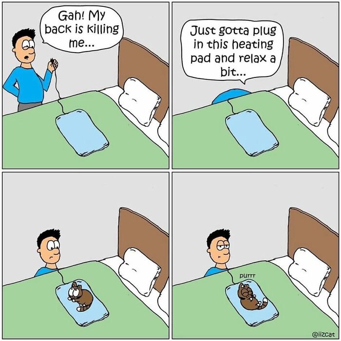 This Artist Turns The Chaos Of Living With A Cat Into Hilariously Relatable Comics (30 Comics)