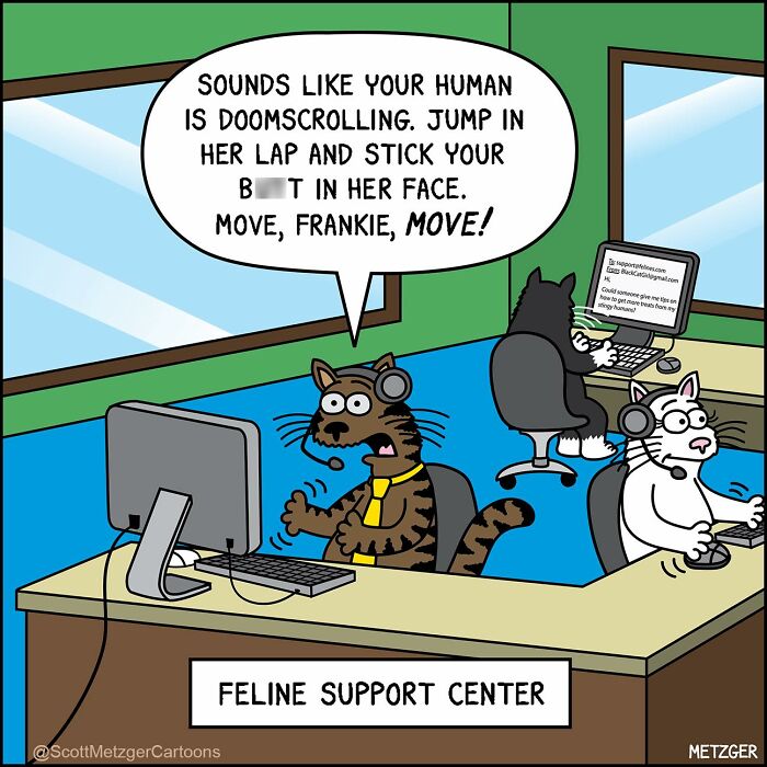 Comic of cats working at a feline support center, humorously showing life sharing a home with cats and dogs.