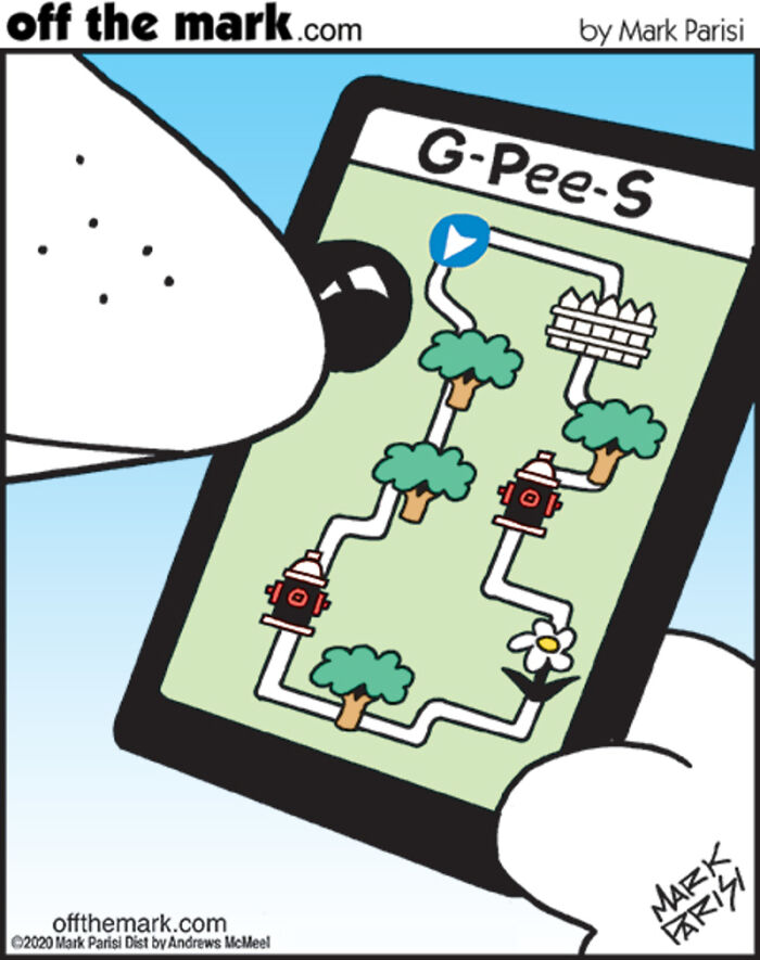 Dog looking at a funny GPS map on a smartphone in a comic about technology and internet life by Mark Parisi.
