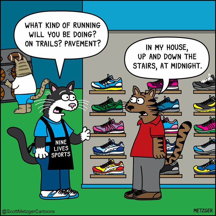Cartoon cats and dogs humorously discussing running styles in a shoe store, highlighting life sharing a home with pets.