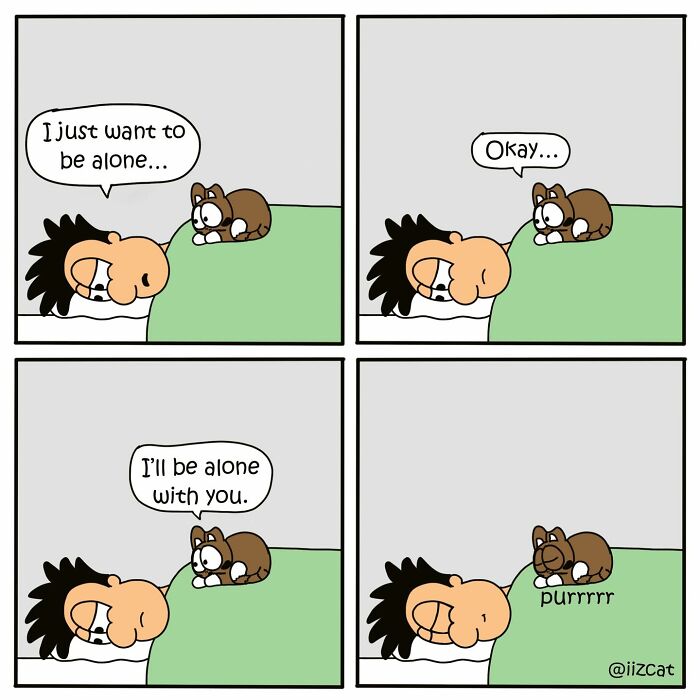 This Artist Turns The Chaos Of Living With A Cat Into Hilariously Relatable Comics (30 Comics)