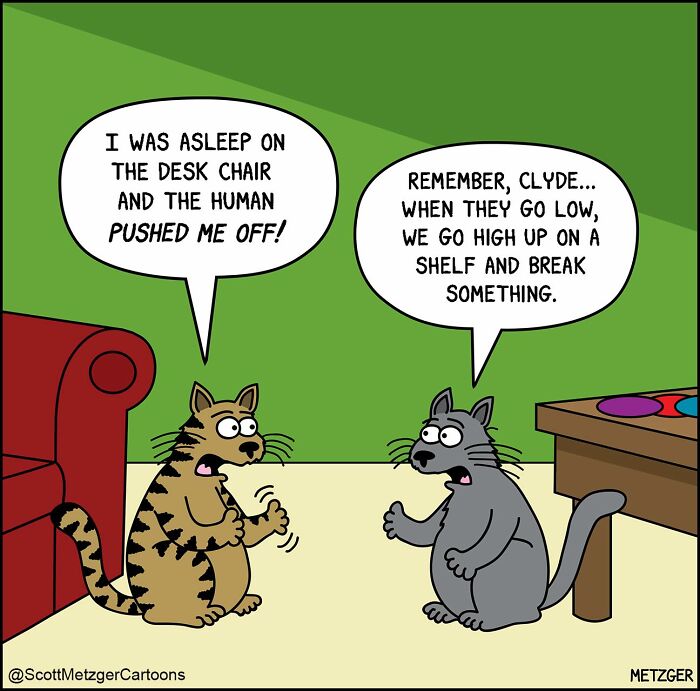 Two cartoon cats talking about humans pushing them off furniture in a comic about sharing a home with cats and dogs.