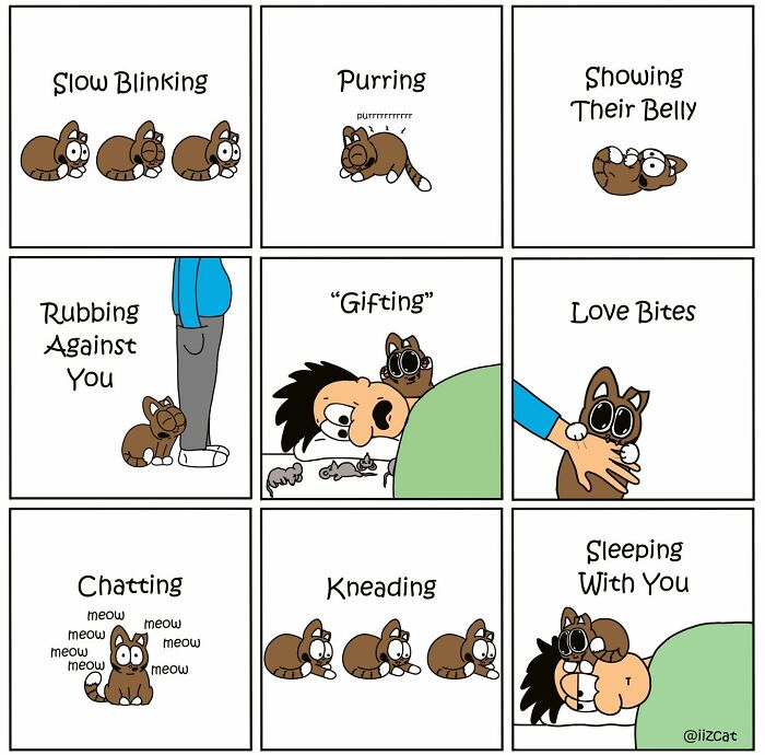 This Artist Turns The Chaos Of Living With A Cat Into Hilariously Relatable Comics (30 Comics)