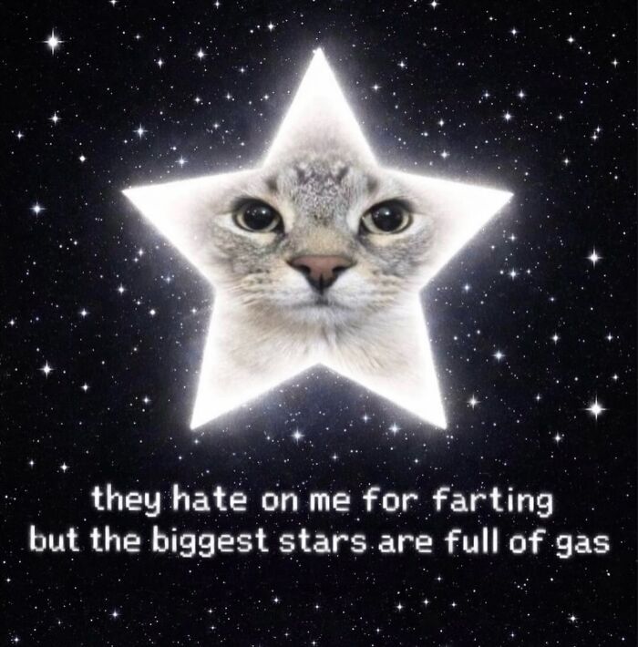 Cat with serious swag face inside a glowing star in space with humorous text about stars and gas.
