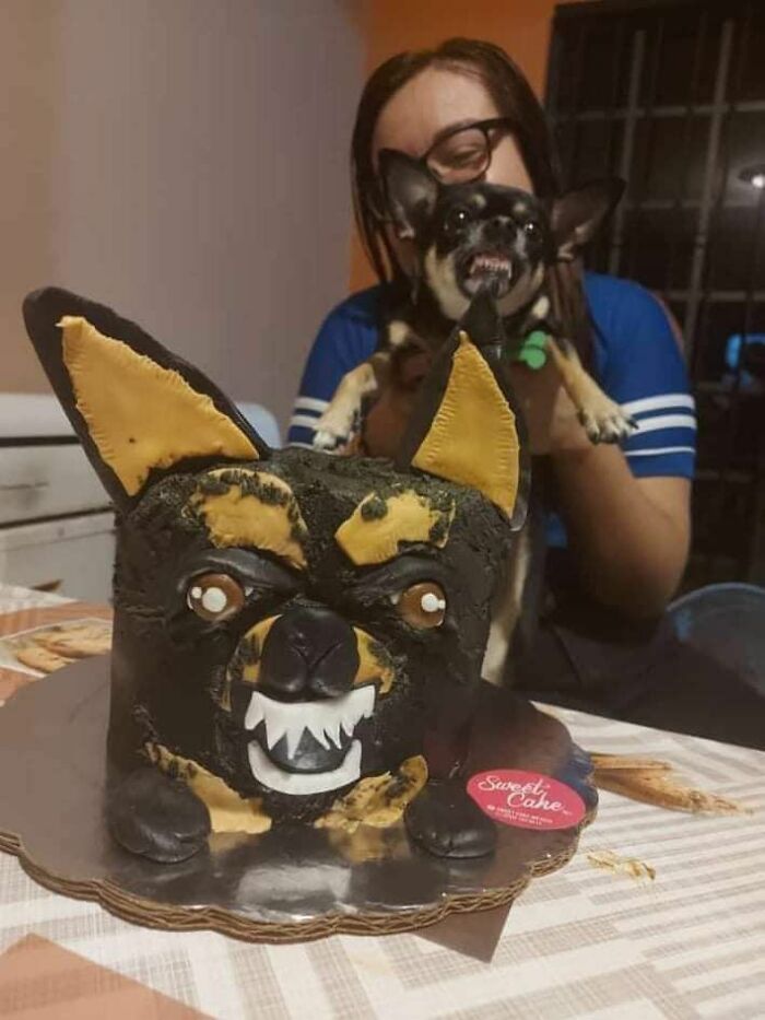 Wholesome-Funny-Unusual-Animals-Wholesomeanimalimages