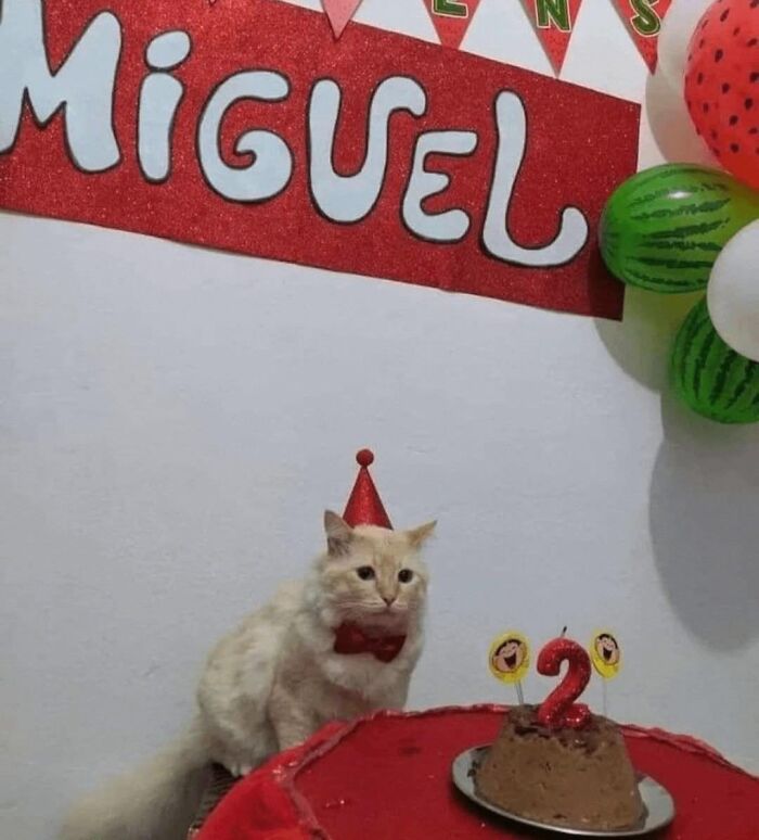 Wholesome-Funny-Unusual-Animals-Wholesomeanimalimages