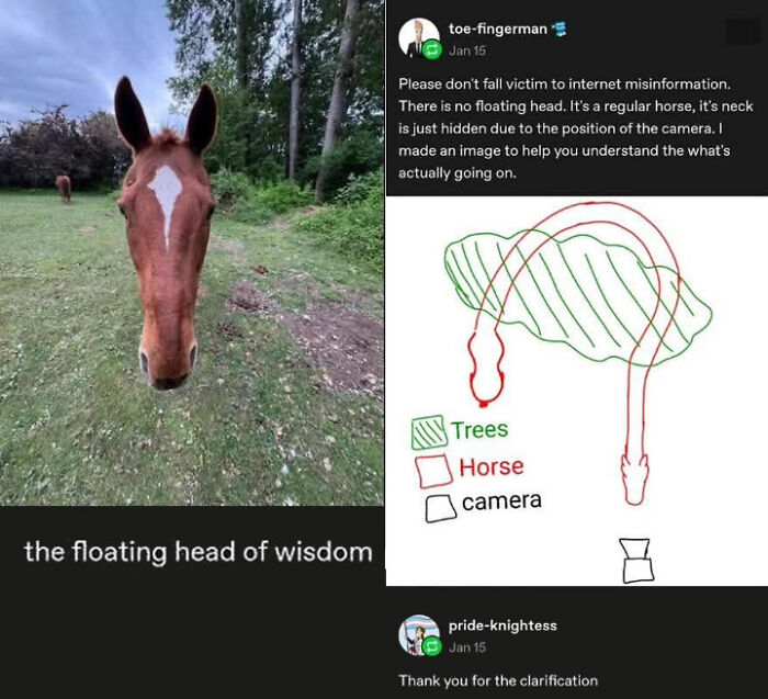 Elongted Horse , It's Fantastic Diamond Beasr