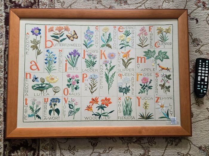 A detailed embroidered alphabet of flowers in a frame, a fantastic thrift store jackpot.