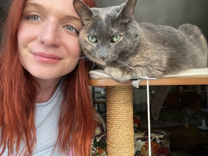Woman cat-sitting with a gray cat resting on a scratching post, showcasing adorable cat-sitting moments and travel lifestyle.