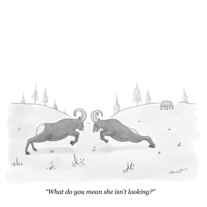 Minimalist comics show two rams butting heads, capturing the weirder thoughts you might have in a simple outdoor scene.