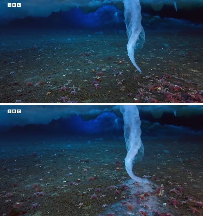 Ocean floor covered with starfish and sea creatures under ice, with a twisting underwater water spout creating an eerie scene.