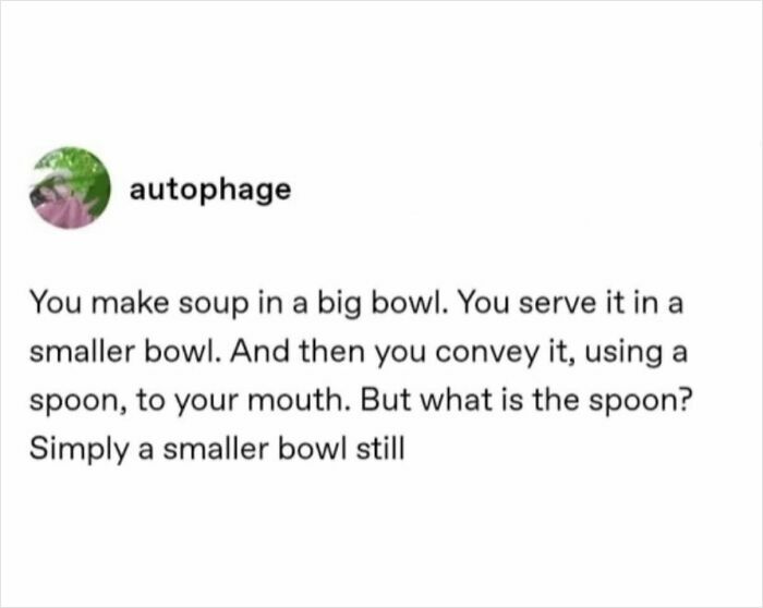 Funny meme about soup bowls and spoons as smaller bowls, perfect for moments with no energy.