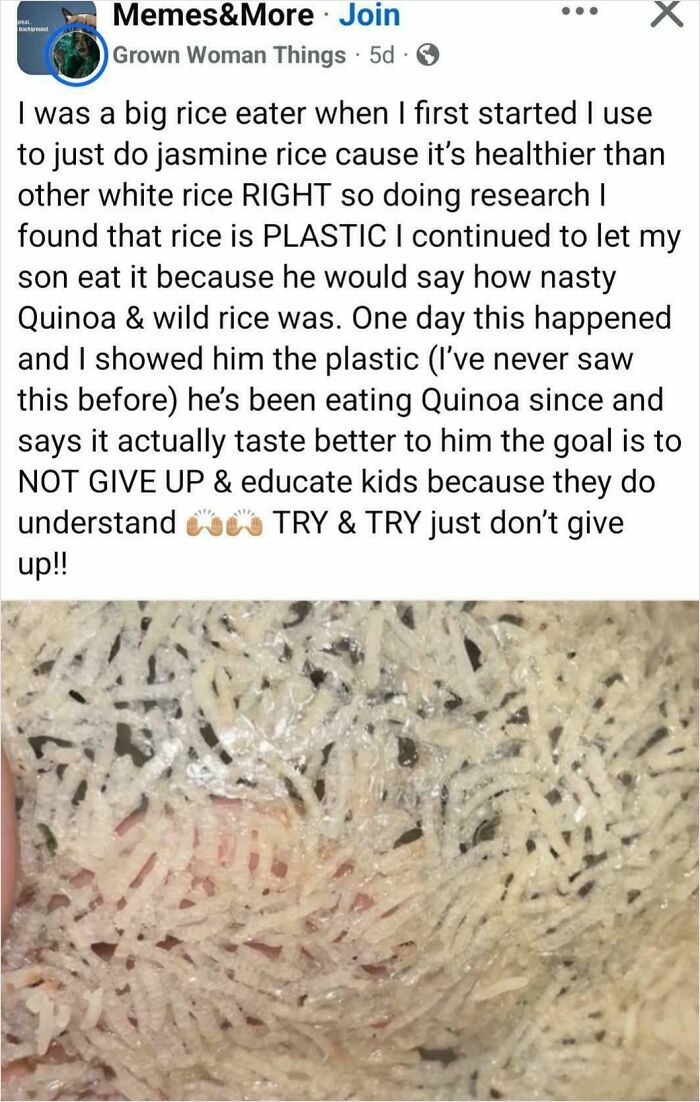 Social media post claiming rice is plastic, illustrating one of the dumb posts that might make your IQ drop.
