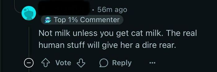 Screenshot of a confusing online comment illustrating lack of intelligence in dumb social media posts.