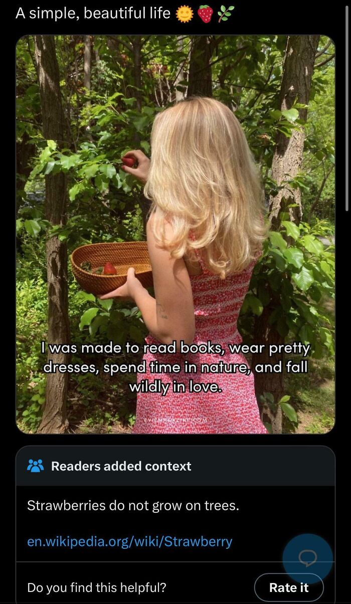 Woman in a red dress picking strawberries from a tree, highlighting a dumb post about nature misconceptions.