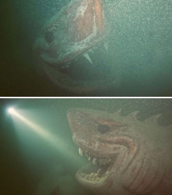 Underwater shot of a massive shark surrounded by murky ocean water illuminated by a diver's light beam.